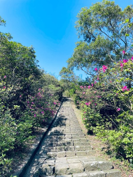 20250323 基隆山小百岳#62744240