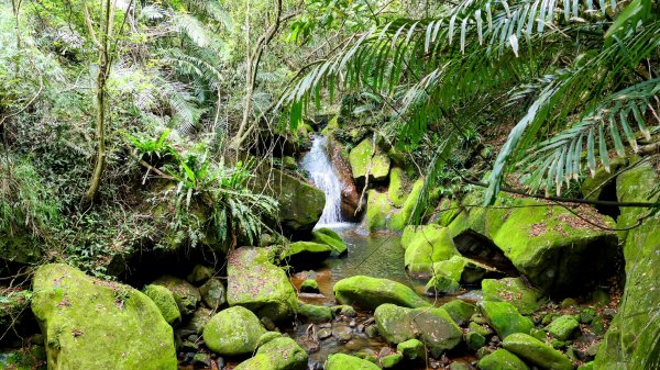 白石湖沒有百合花。晶片關稅2781573