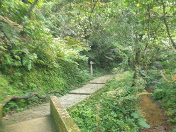 臺北大縱走第六段1516076