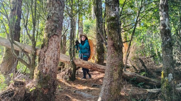 中央尖山四天20260412~153037965