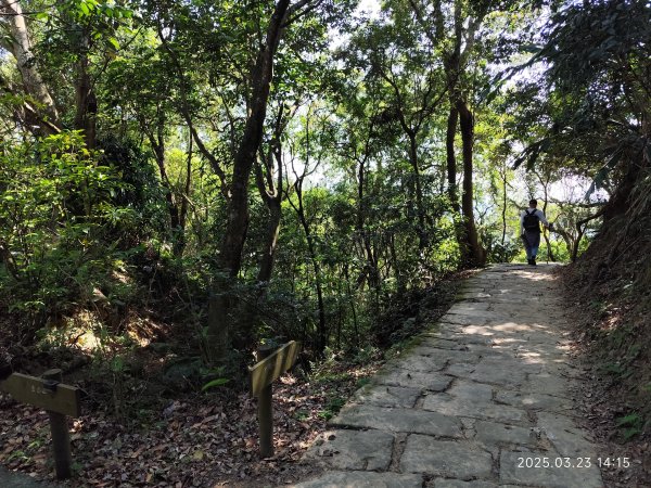 【臺北大縱走 5】碧山巖→忠勇山越嶺步道→金龍產業道路→圓明寺步道→鄭成功廟步道→文間山→劍潭山步道2744828