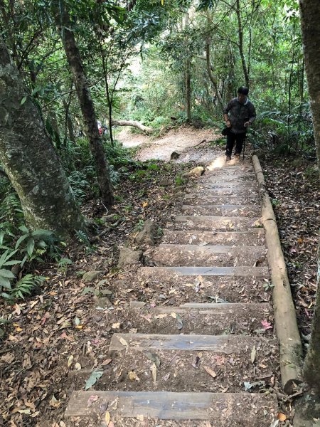 馬那邦山登山步道 NO 37 / 苗栗縣大湖鄉--我的第13座小百岳1598267