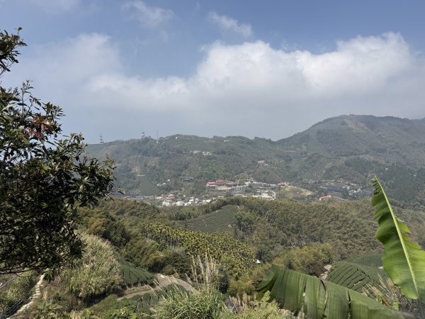 1150322雲嘉8連峰3023012