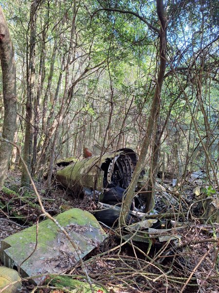 屋我尾山+G(大雪山進老鷹谷出)O型202502162713580