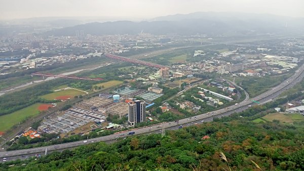 【南山神壽任務尋寶趣】鳶山彩壁、福德坑山步道【小百岳集起來】#19 鳶山登山步道1580899