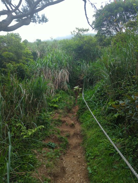 2025.05.17－大屯山步道下清天宮2790044