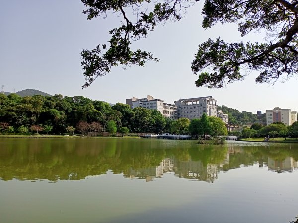 【臺北大縱走5】碧湖公園→碧山巖→忠勇山越嶺步道→金龍產業道路→圓明寺、鄭成功廟步道→文間山→劍南路2120974