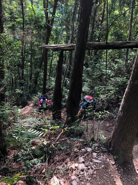 中級山-高島縱走2888446