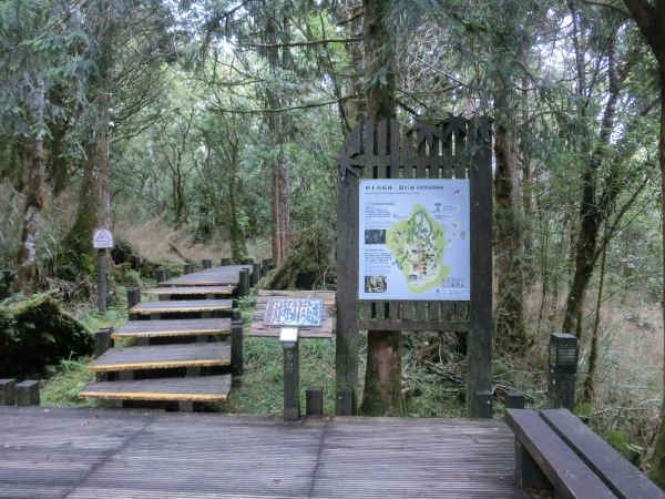檜木原始林．鐵杉林自然步道380265