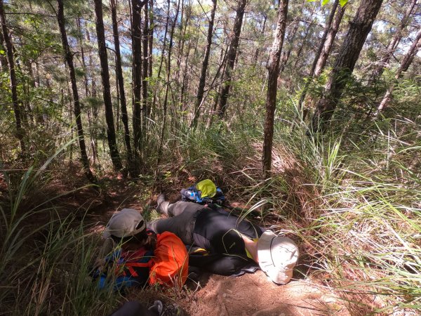 湍湍溪流志佳陽大山656550