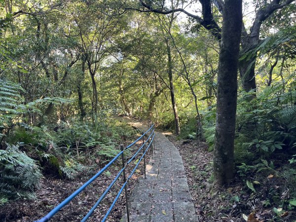 [微笑山線_第九段] 2025_0914 二格山系_皇帝殿東峰2889463