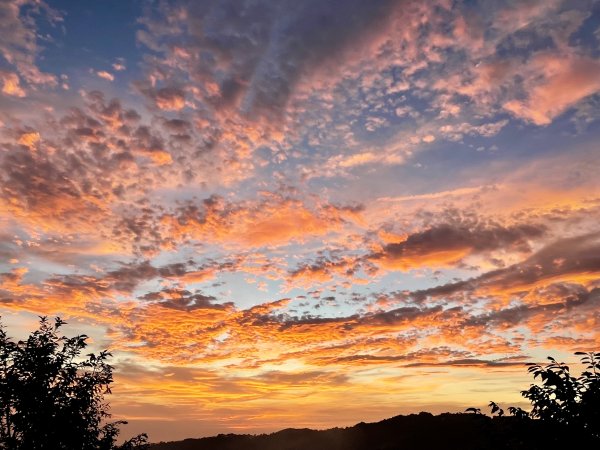 【油羅山/露營】 仙境舒活健走，雲端徜徉野趣！2887859