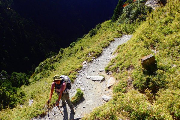 登峰造極--2018玉山主峰532508