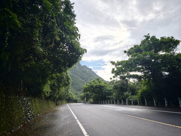 [淡蘭古道] 2026_0614 北路第三段_嶐嶺古道3075343