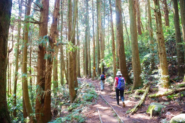 加里山登山步道