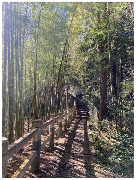 鳳凰谷步道(鹿谷鄉)2690449