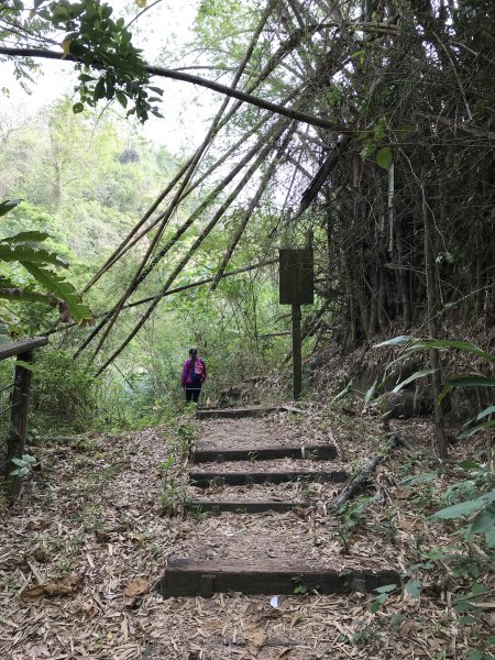 六溪香路古道990138