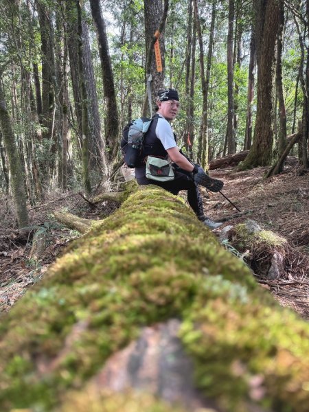 船型山林道賞雲海、烏石坑山、2432峰 山景海景一次到位2929301
