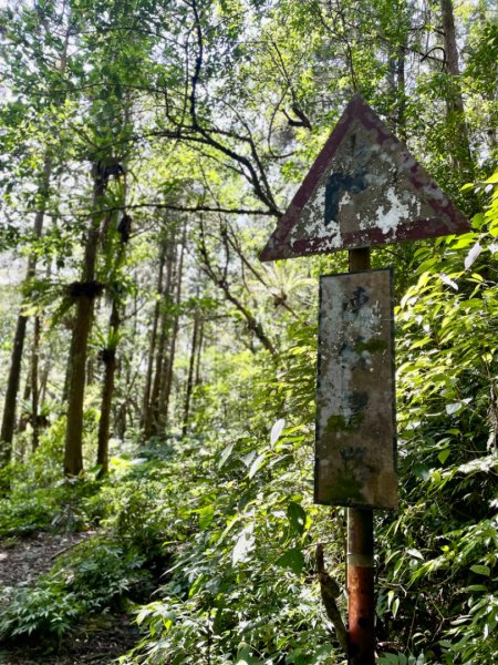 烏來阿玉溪山/西坑林道/探勘派出護管所彈藥庫遺址至獅坑橋2582014