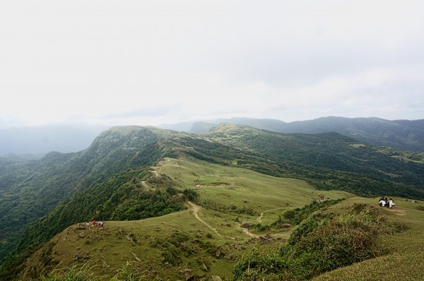 灣坑頭山 桃源谷步道 連走2034777