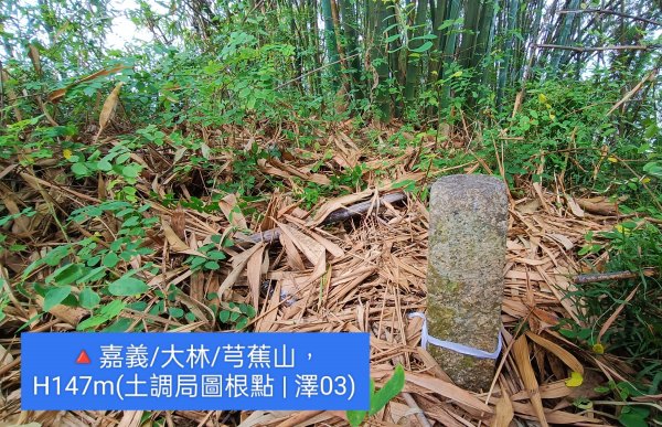 🔺嘉義/大林/芎蕉山，H147m (土地調查局圖根點 | 澤03)