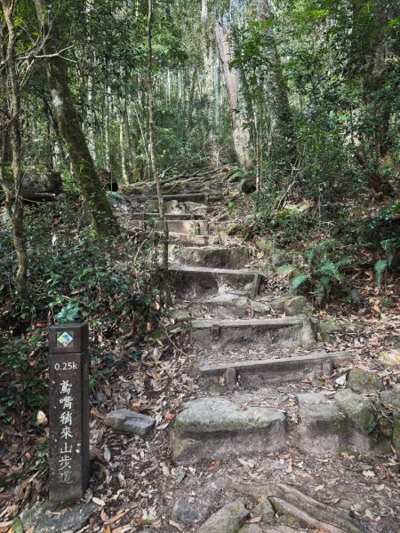 鳶嘴山上的瘦稜2983859