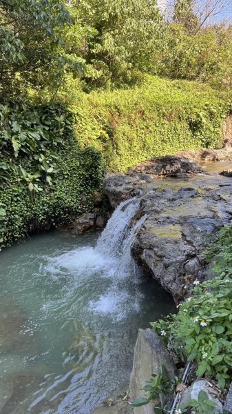 20250215新北投大師岩軍艦岩2718182