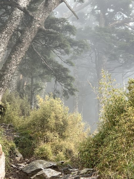 百岳-塔關山2695800