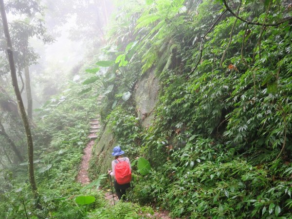 石夢谷 - 山、水、石、樹之美1142751