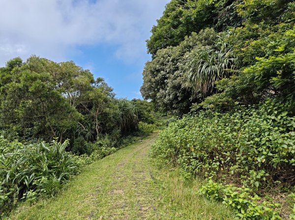 [百山百鳥尋旅-02/15] 2025_0809 社頂自然公園步道2857034