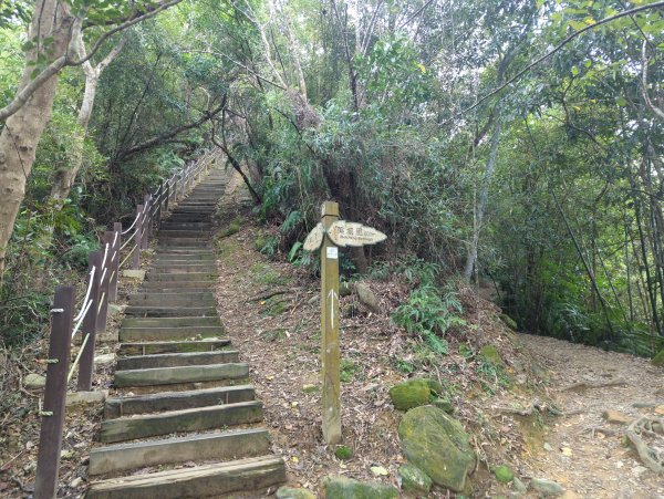 2025.12.14－微笑山線：【二格山系】和美山螢火蟲段2966250