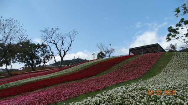 午餐的約會-北投三層崎/貴子坑845542