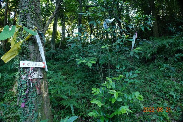 宜蘭 頭城 窖寮山1817618