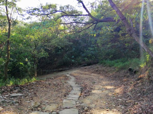 【台中。后里】悠然雅靜。 毘盧禪寺步道1283977