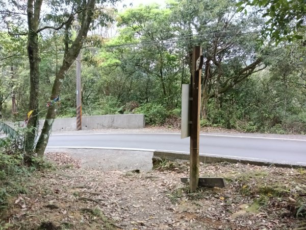 雙溪區打鐵寮山-鶯子嶺-坪溪山-烏山63號-烏山越嶺古道(坪溪山北峰)P字走3023819
