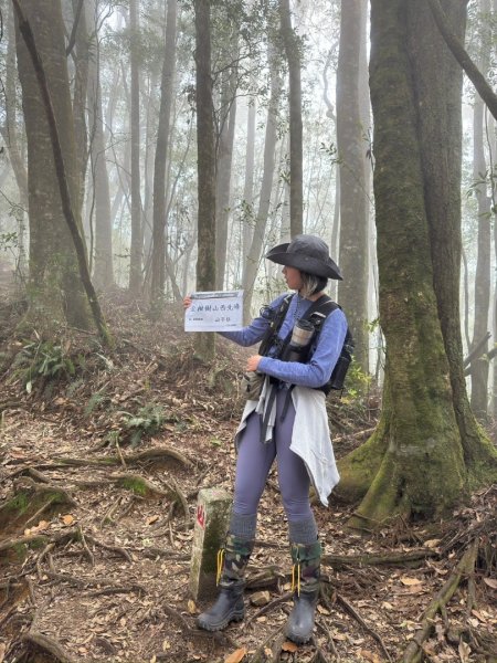 留龍頭-嶺頭山-金柑樹山-忘憂森林（2025必去）2720366