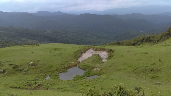 【東北角生態步道尋寶石】 桃源谷步道大溪線 3-3963556