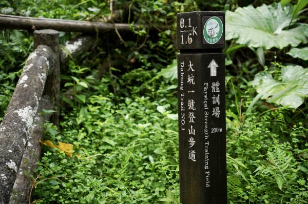 大坑1號步道2865249