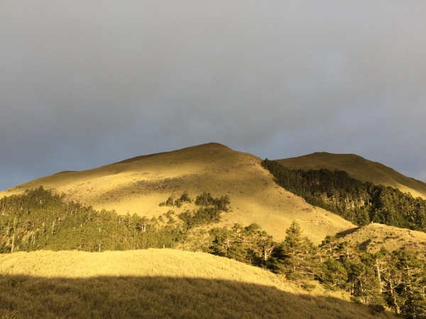 20170107奇萊南峰與南華山90619