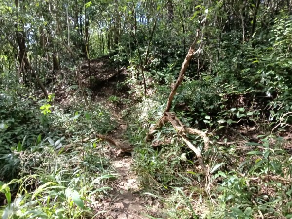 基隆市/萬里區界寮縱走之三界山+三界山西峰+開眼尖山+七分寮山+瑪七產道山泉水接水亭2979564