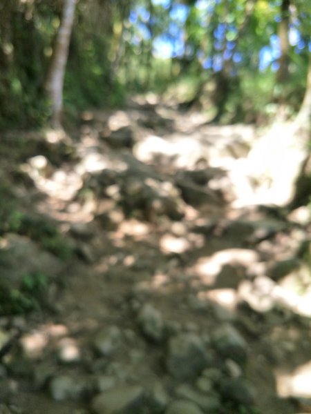 小百岳:台南大凍山 台南百大步道1384173