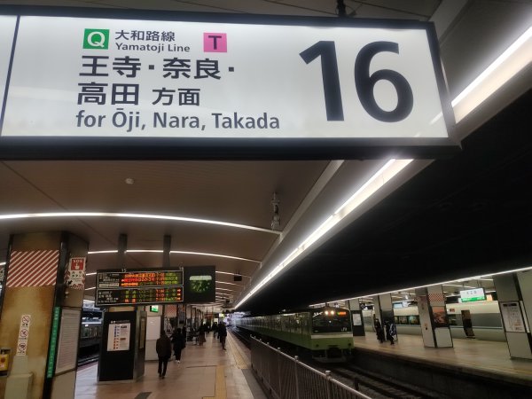 奈良公園&春日大社&東大寺2454335