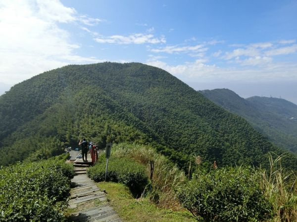 雲嘉五連鋒不在是傳說414334