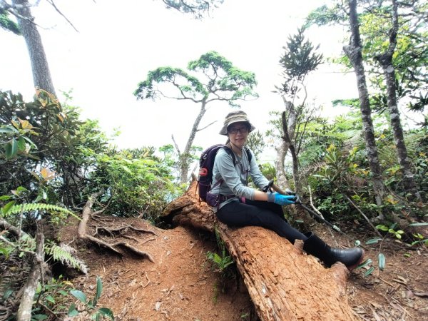 1130511夫拉縱走2500146