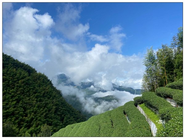 樟空倫山、大崙頭山、貓冬望山、民眾坪山 連走2839040