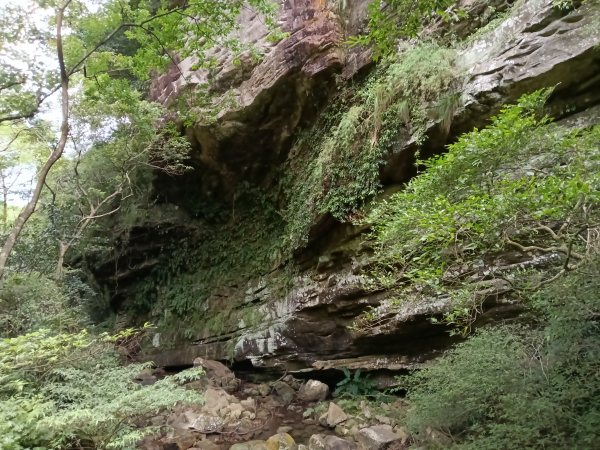 基隆市暖東峽谷大環步道+大菁農場+暖東峽谷小環步道(大O+小O)