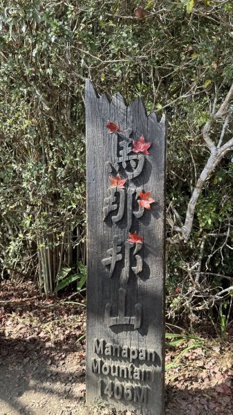 20260101小百岳馬那邦山賞楓團2973932