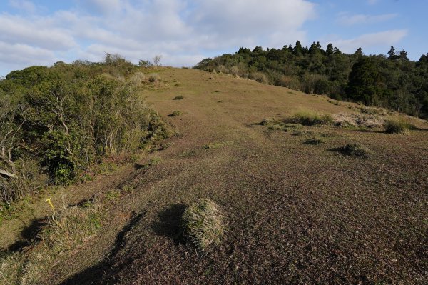 臺北 士林 香對山、頂山、杏林山、北五指山、高頂山、北頂山、馬蕃山、頂山溪山、五指山2703251
