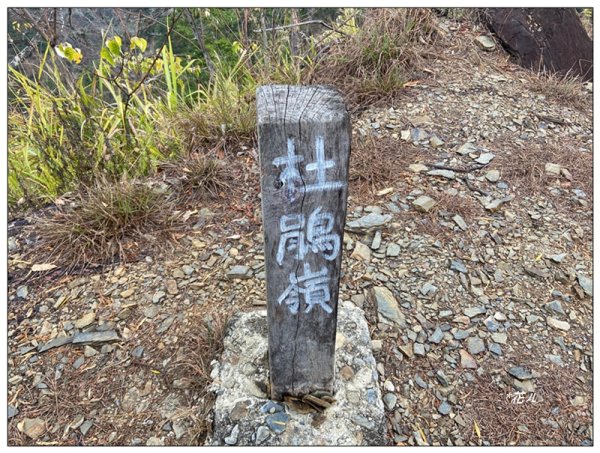 惠蓀林場 杜鵑嶺 O遶一圈3010272