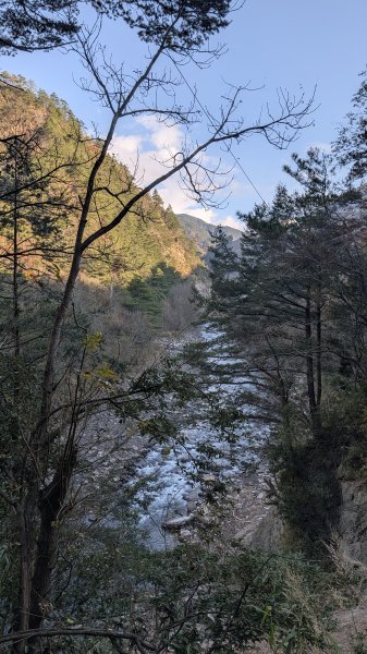 環山獵人登山步道3021029